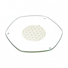 Sous-verre Energyplate Grand modèle 22cm